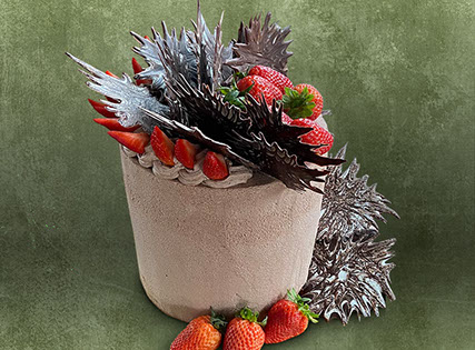 Erdebeer-Schoko Traum